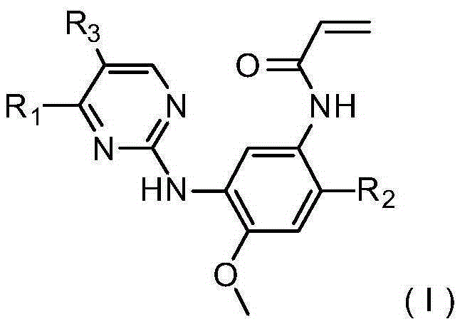 3-(4,5-substituted pyrimidinamine) phenyl derivatives and application thereof