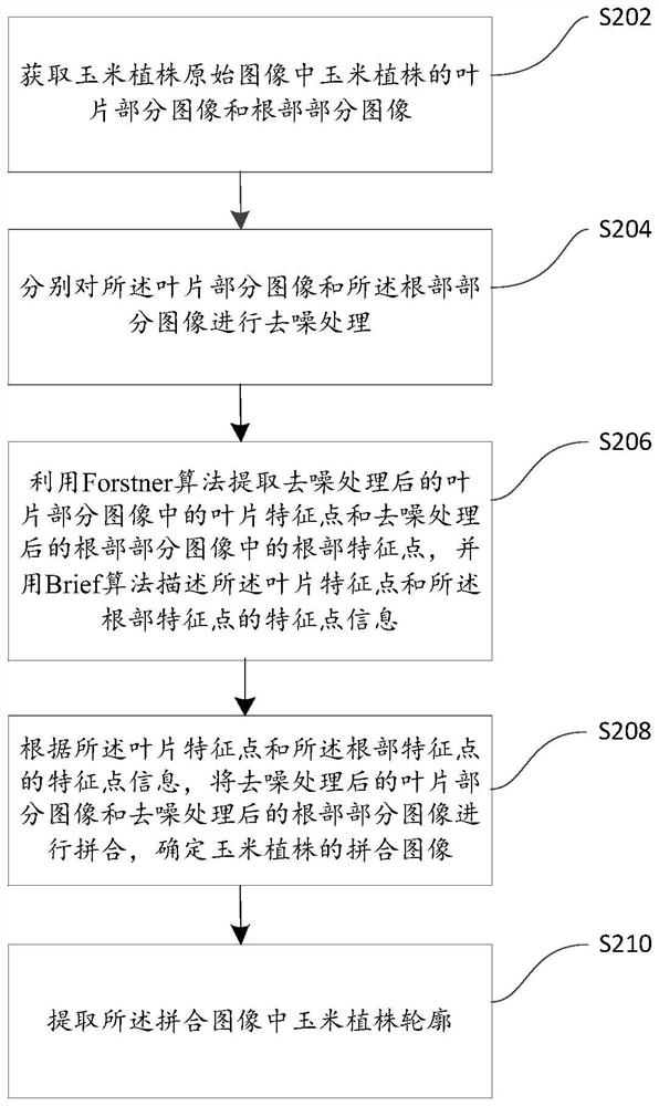 Farming robot-oriented field corn plant contour extraction method and system