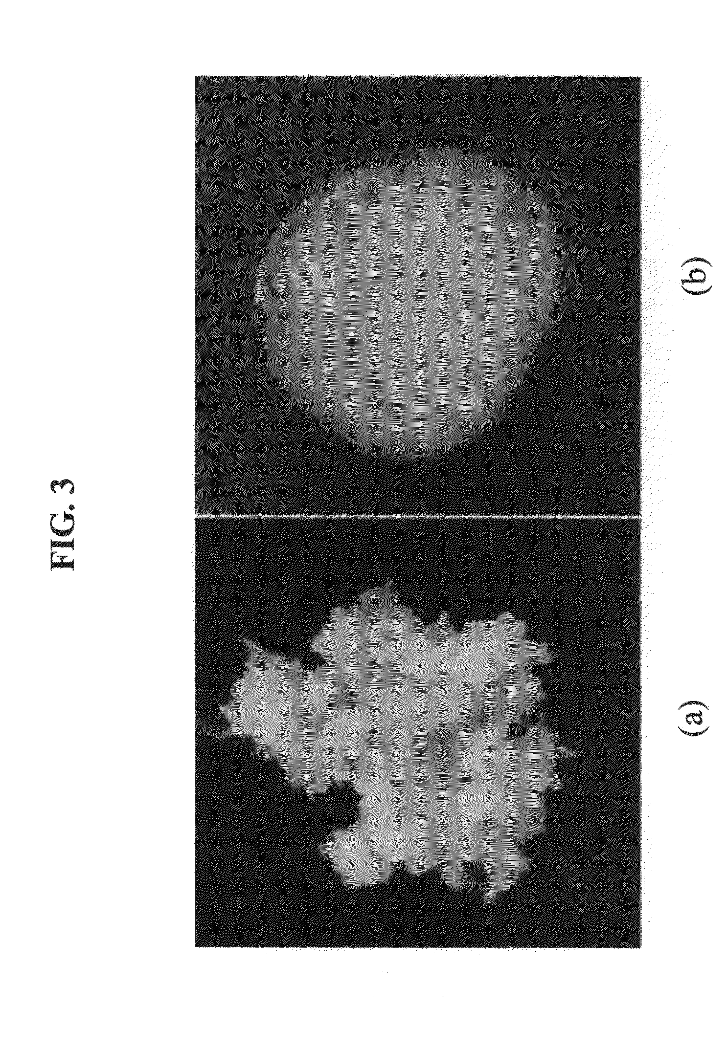 Plant stem cell line derived from quiescent center and method for isolating the same