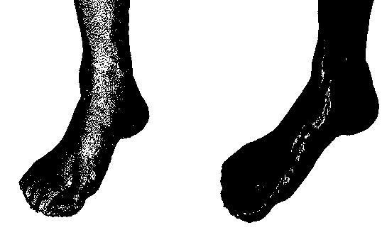 Measuring method for foot three-dimensional foot-type information and three-dimensional reconstruction model by means of RGB-D camera