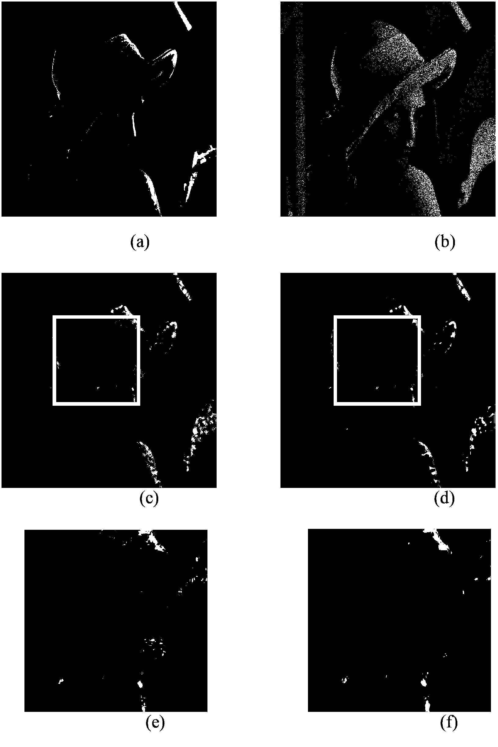 Non-local means filtering method for speckle noise pollution image