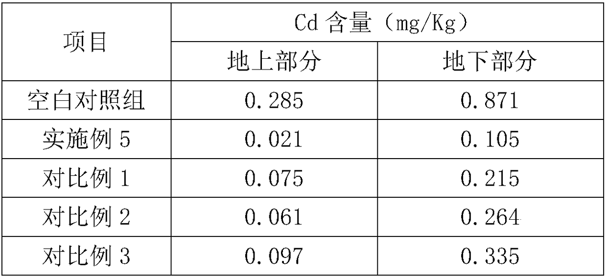 Blueberry cultivating soil repairing agent as well as preparation method and application thereof