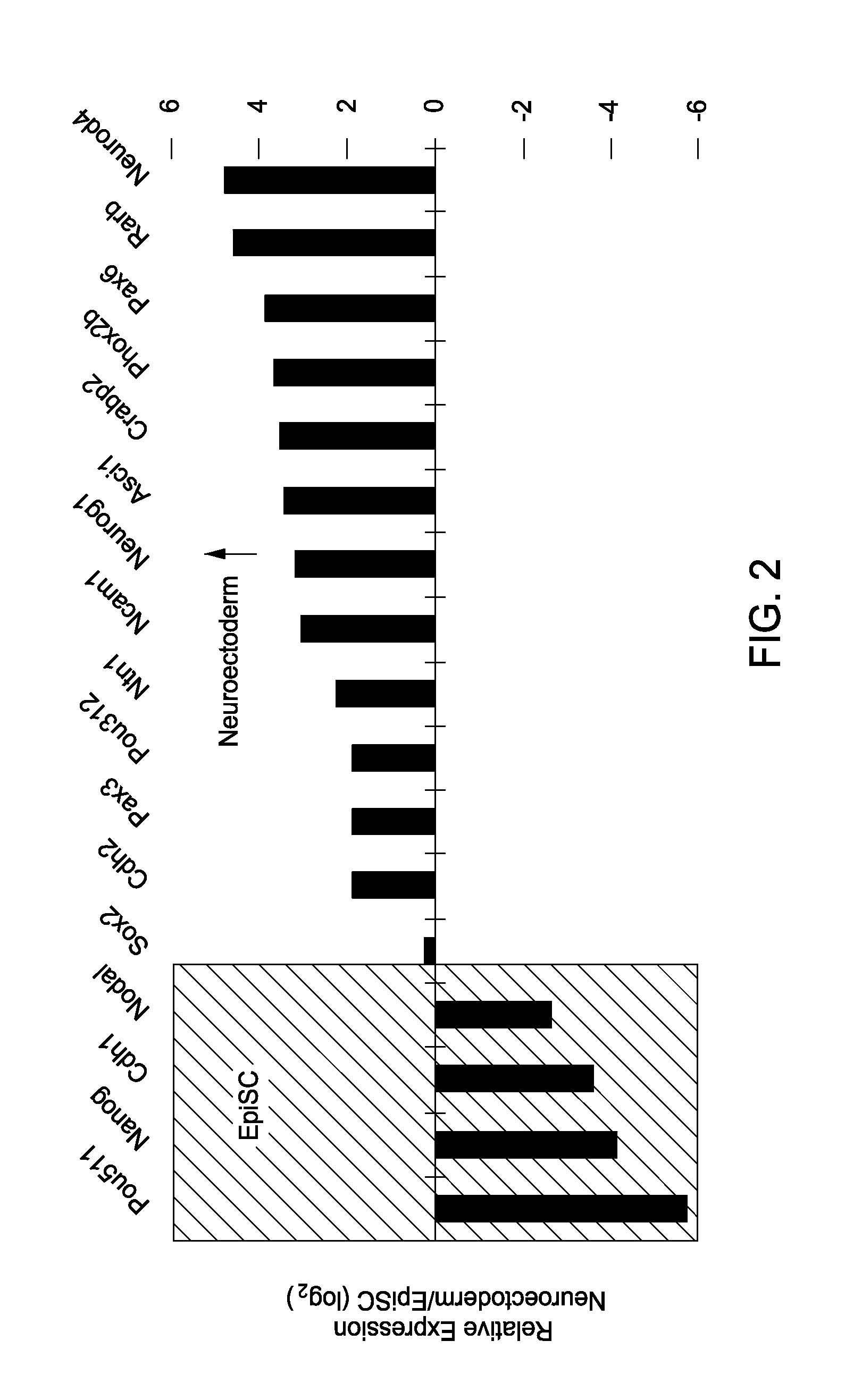 Differentiation method for production of glial cell populations