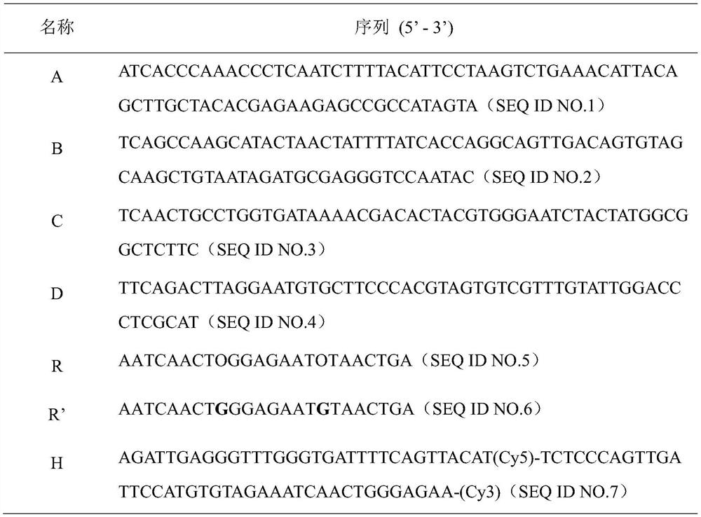 DTNS-mediated method for detecting activity of 8-OG DNA glycosylase