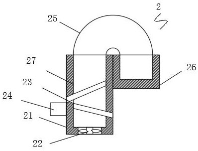 An agricultural seed detection device and detection method