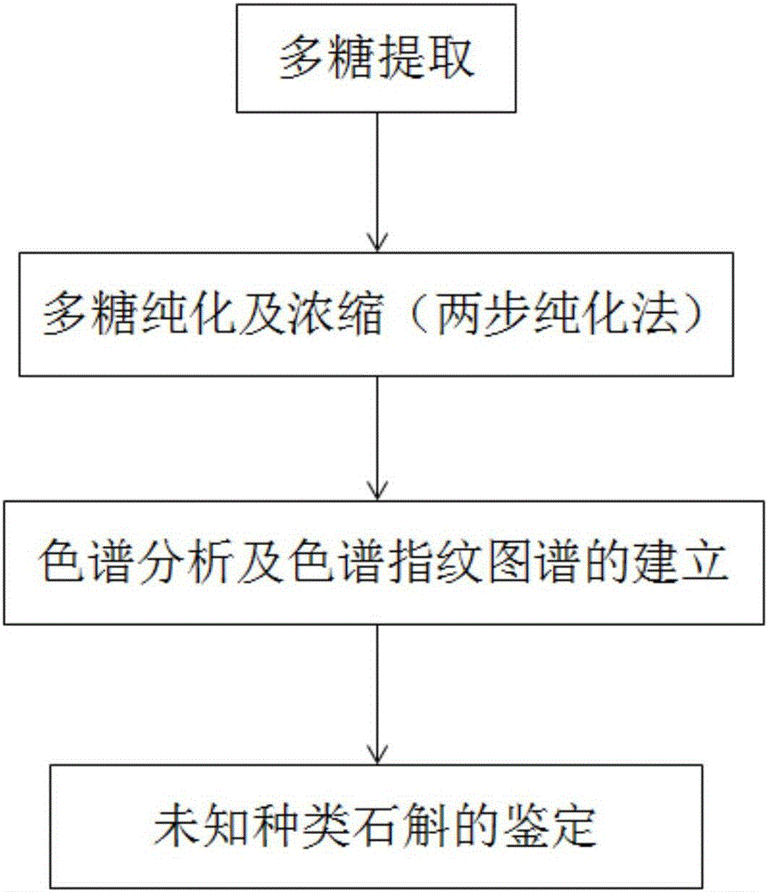 Chromatographic fingerprint spectrum method for identifying three varieties of medicinal dendrobium