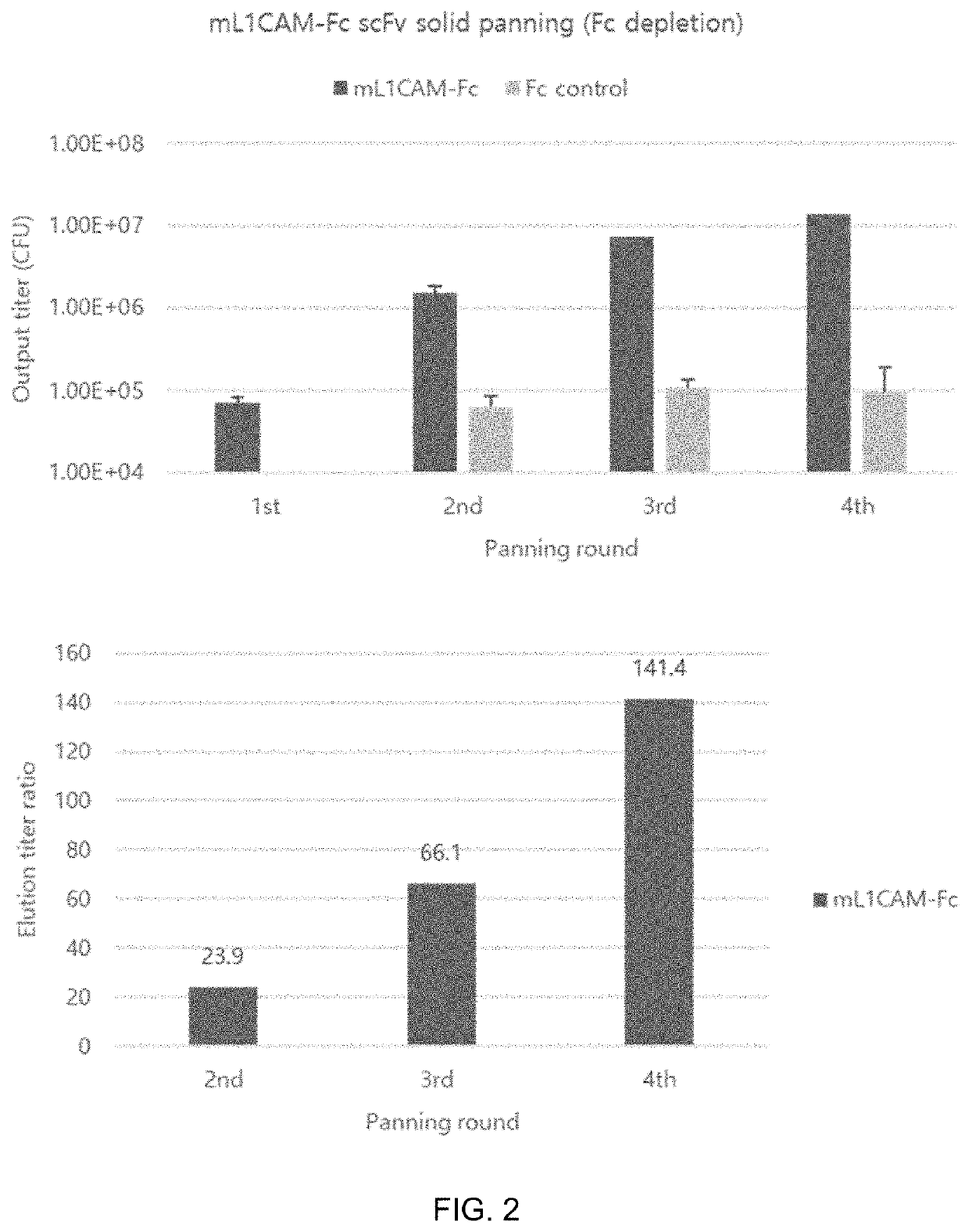 Anti-l1cam antibody or antigen-binding fragment thereof and chimeric antigen receptor comprising same