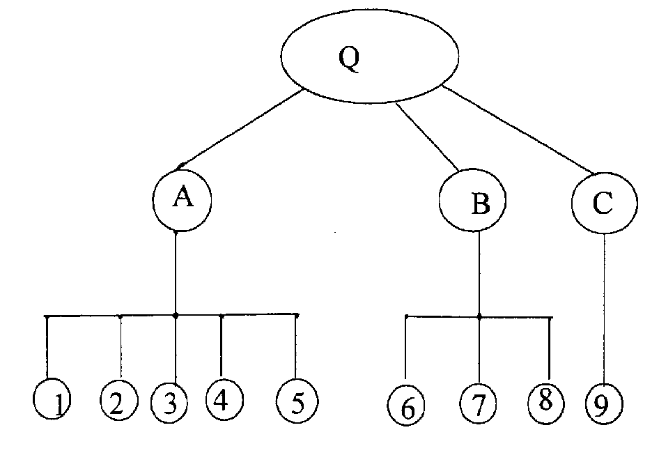 Three-dimensional anti-fake identification card and its anti-fake method