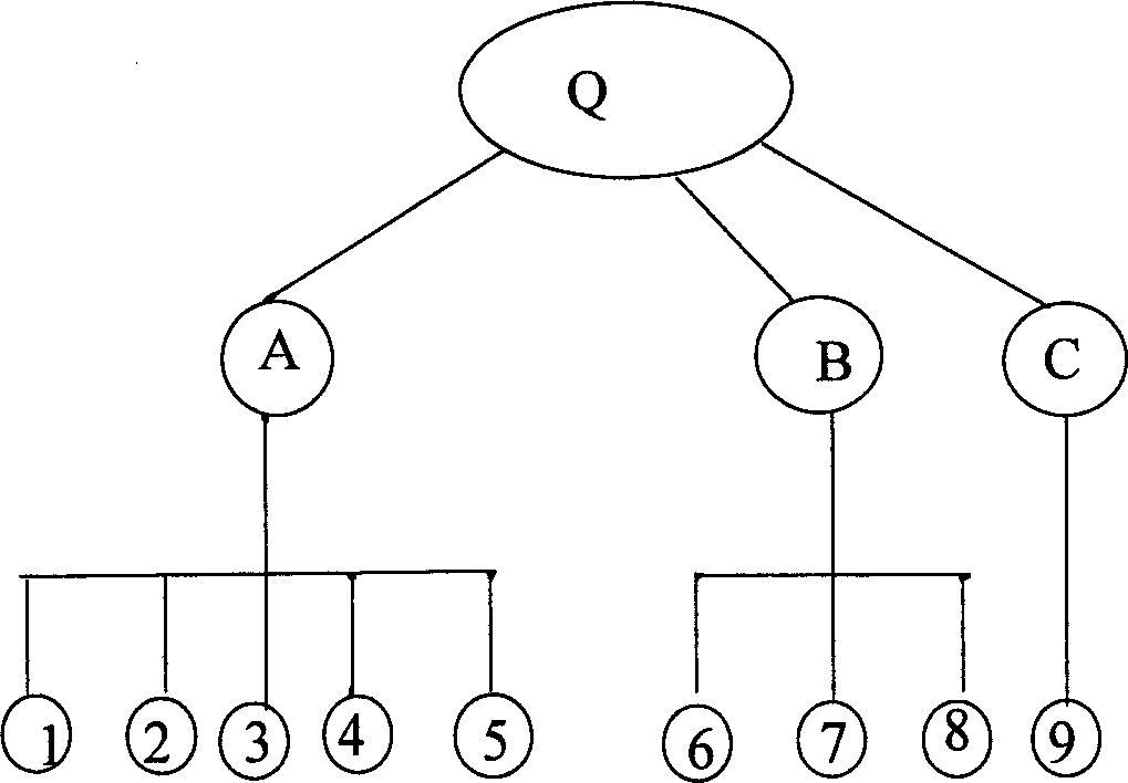 Three-dimensional anti-fake identification card and its anti-fake method