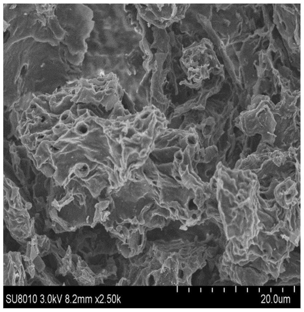 A kind of preparation method and application of biomass carbon-based fe single atom-n doped porous carbon material