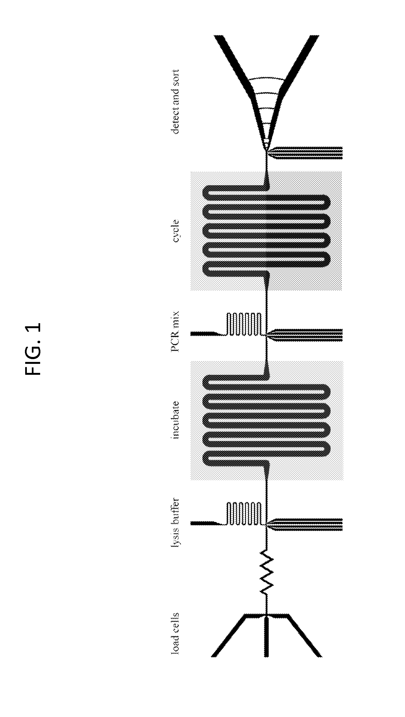 Methods and systems for detecting biological components
