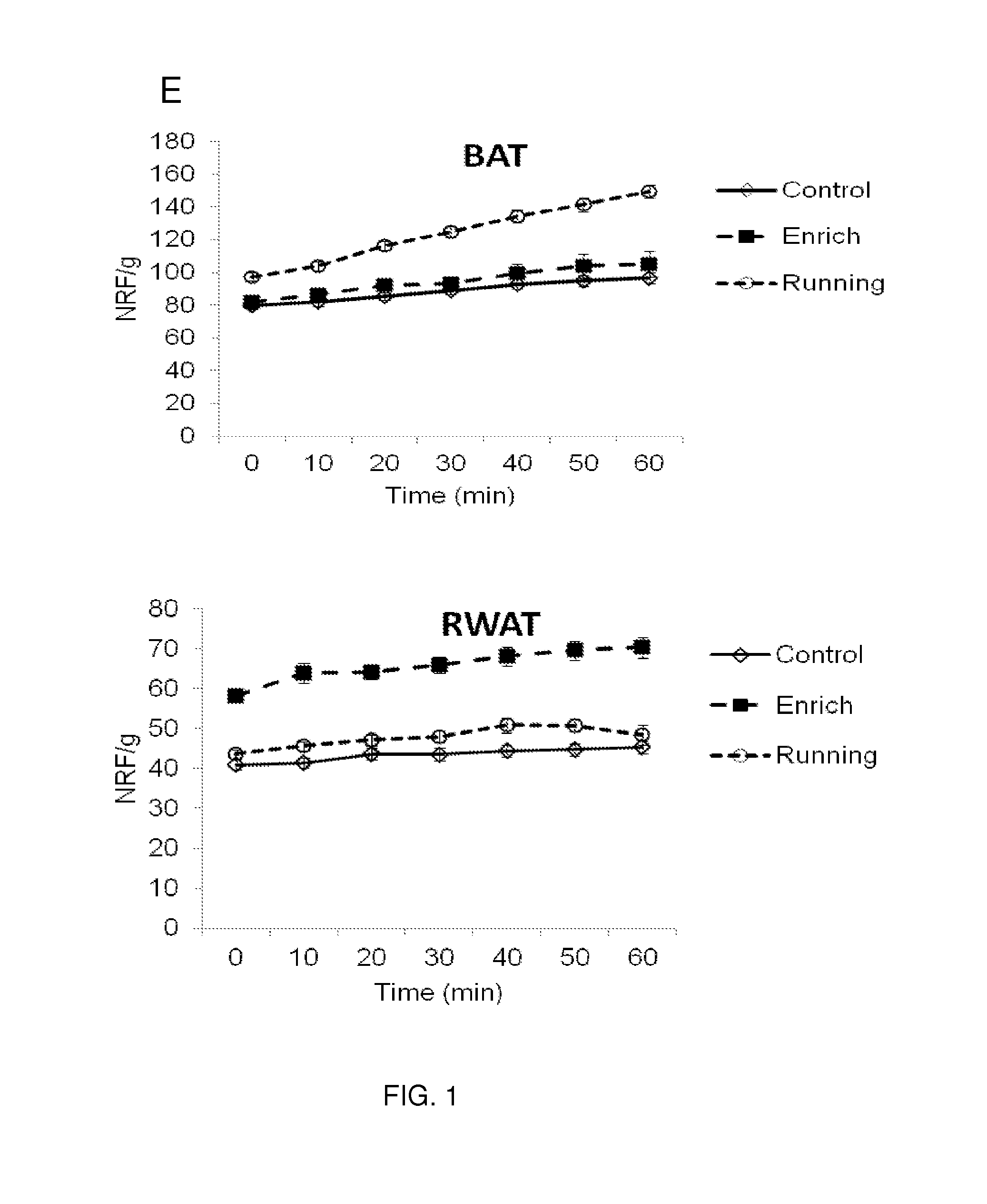 Methods and compositions for the "browning" of white fat