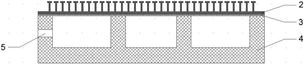 A Dry Adhesive Composite Structure Based on Pneumatic Actuation and Its Manufacturing Process