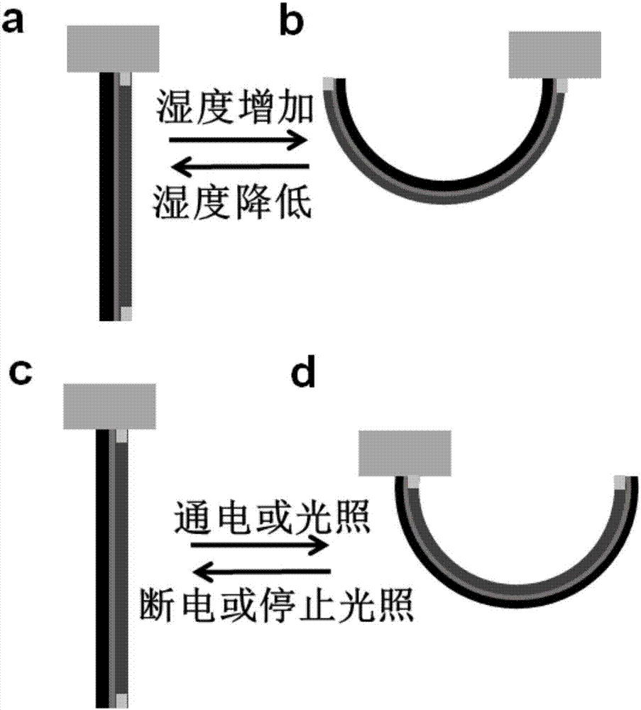 Actuation material, bidirectional bending actuator and preparation method of bidirectional bending actuator