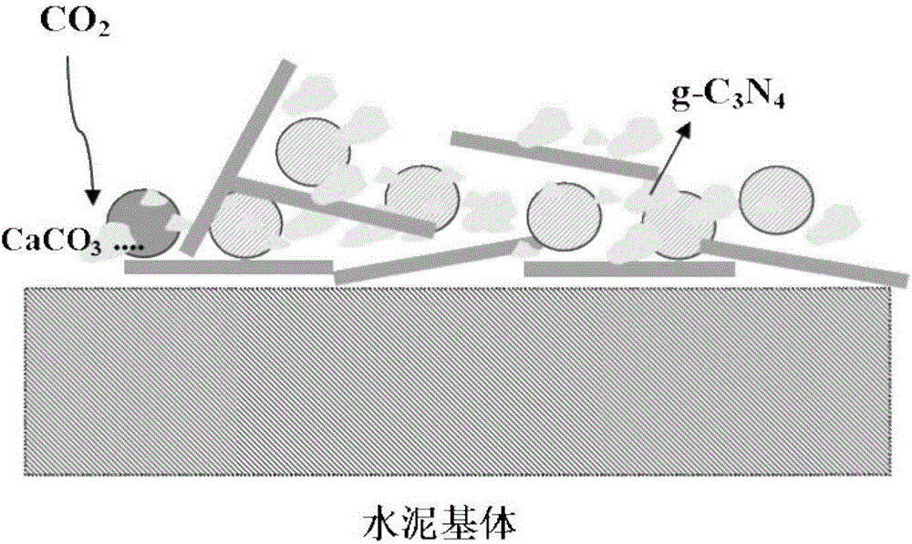 Preparation method of two-dimensional and three-dimensional carrier reinforced carbon nitride photocatalytic material