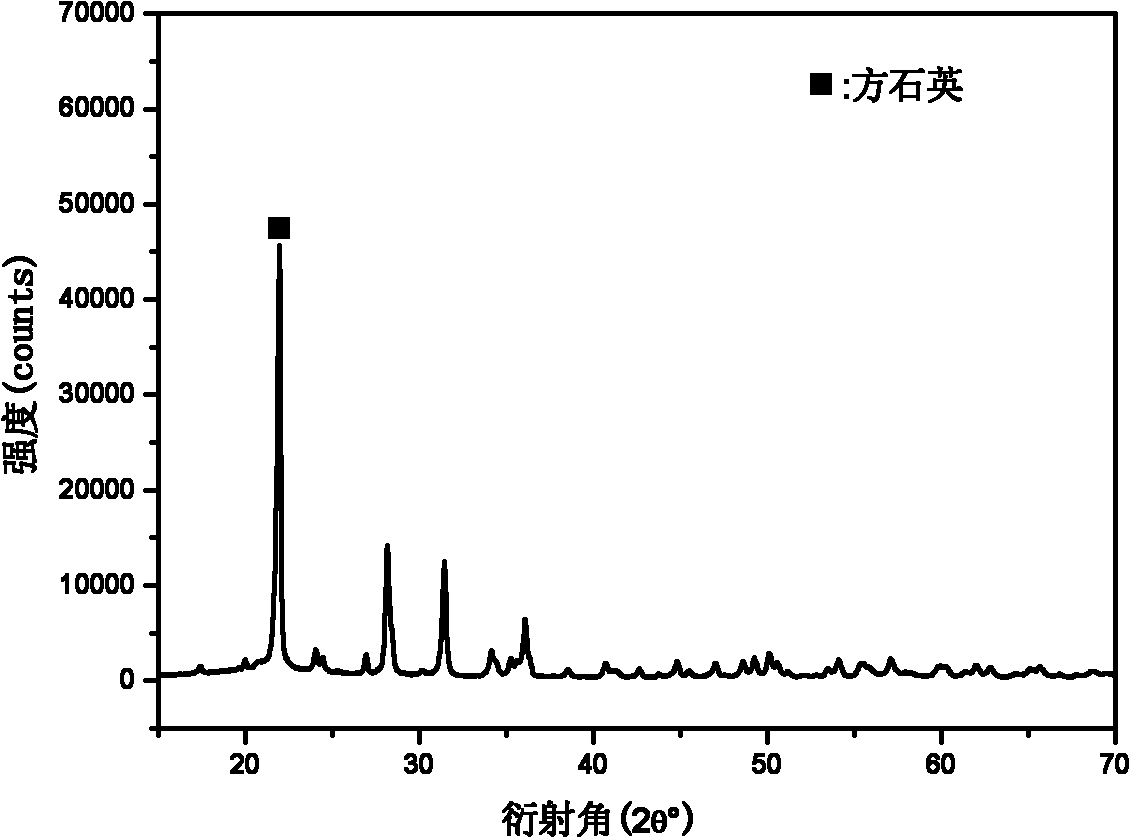 Silicon-base ceramic core added with cristobalite