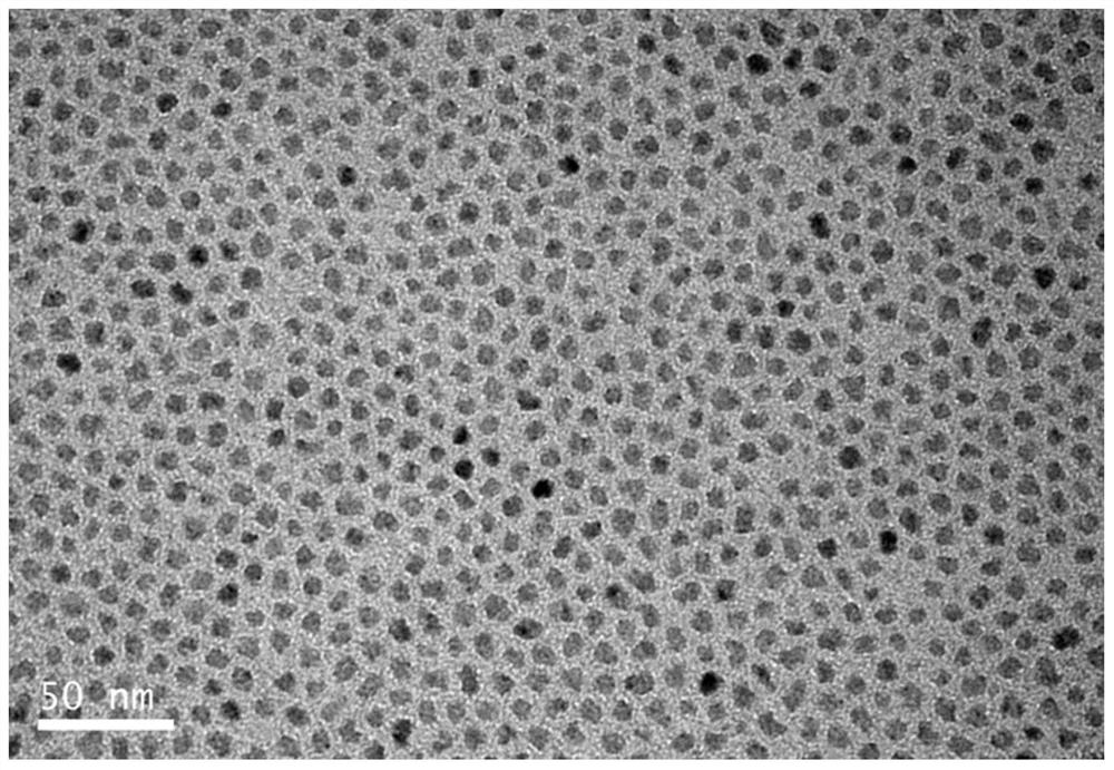 A kind of inp quantum dot and preparation method thereof