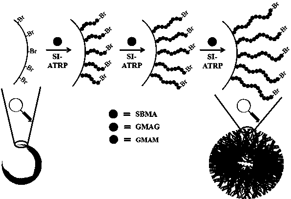 Preparation and application of multi-component block hydrophilic copolymer-silica gel hybrid chromatography packing