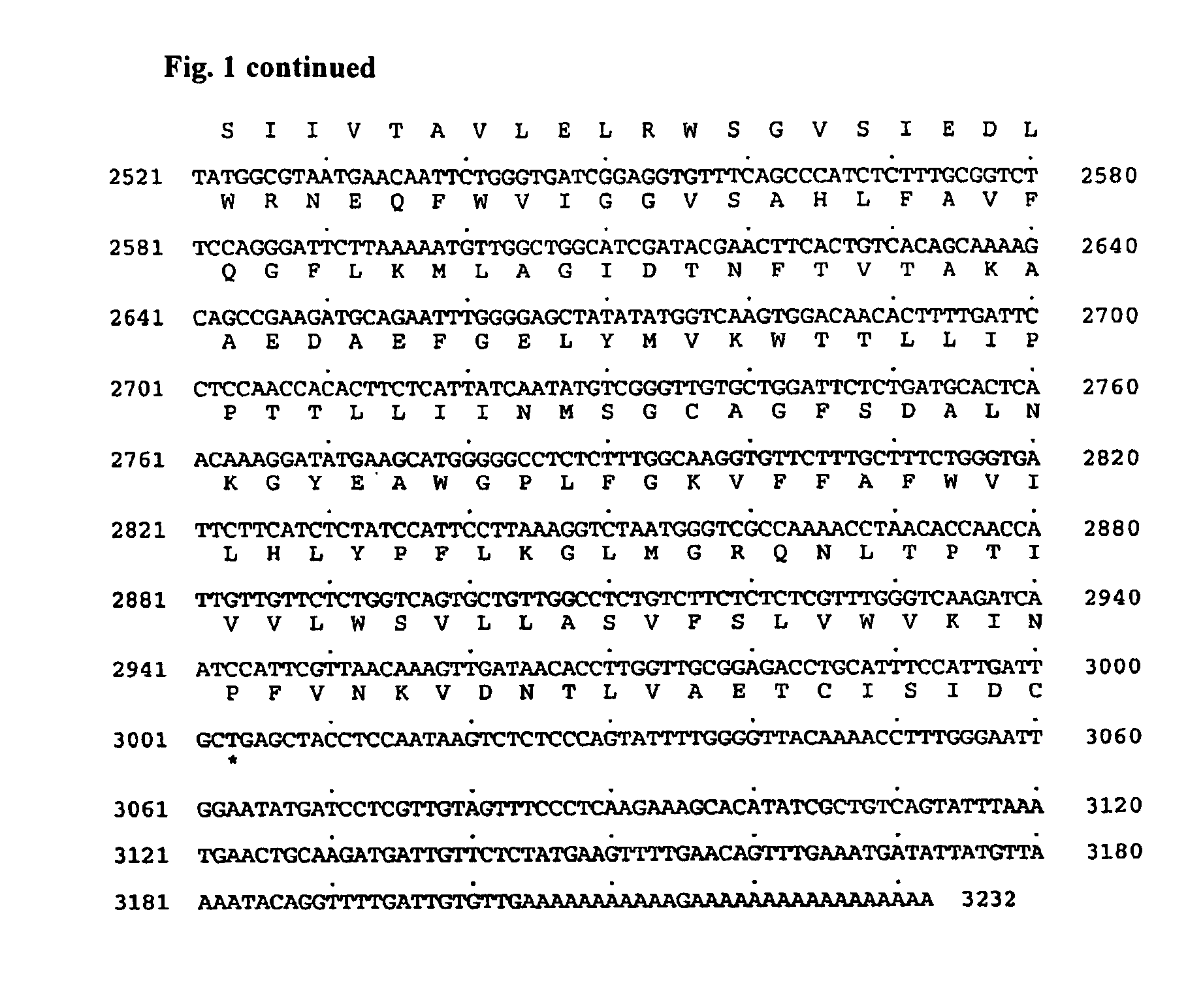 Isolated cellulose synthase promoter regions