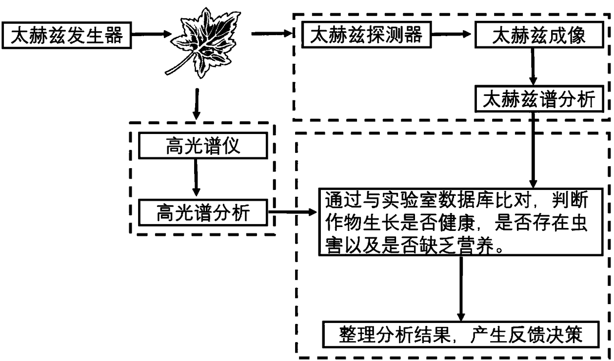 Unmanned aerial vehicle-borne terahertz wave and hyperspectral remote sensing crop monitoring system