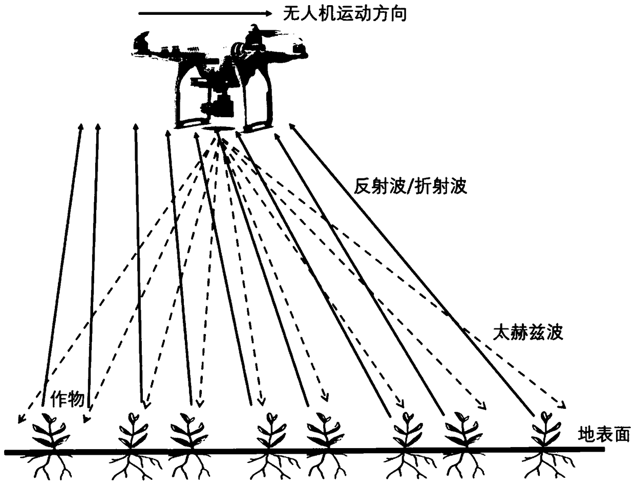 Unmanned aerial vehicle-borne terahertz wave and hyperspectral remote sensing crop monitoring system