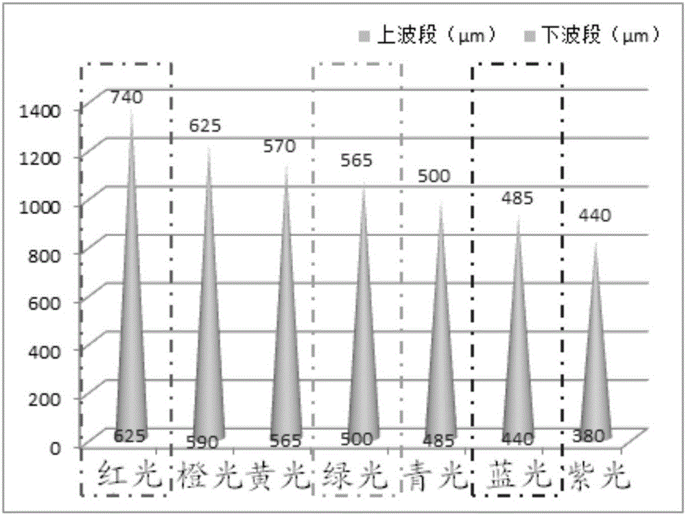 Display panel and display device