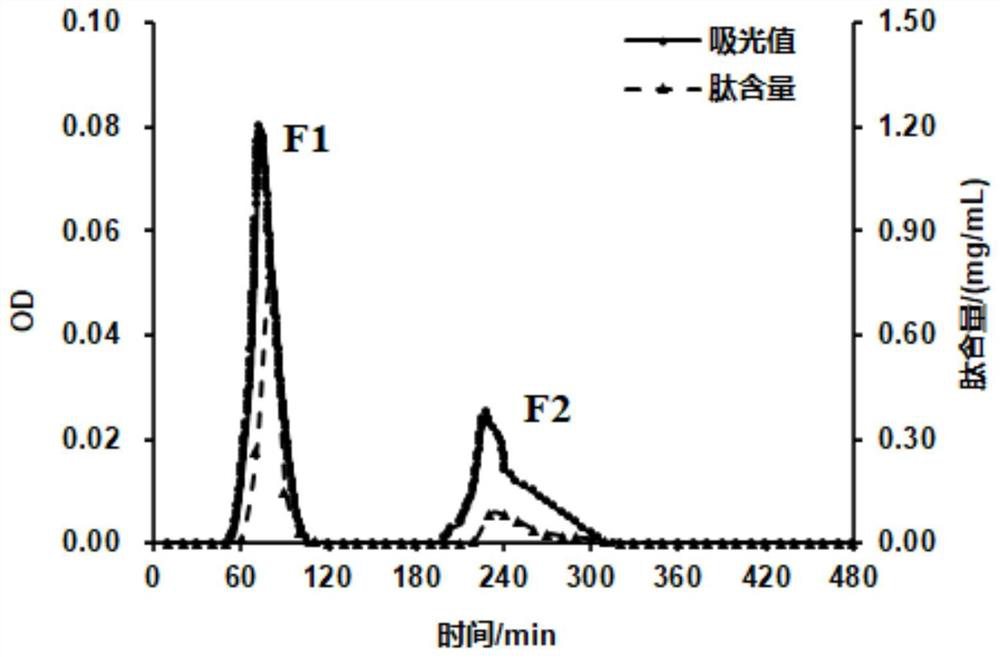 Pneumatophorus japonicus flavor peptide preparation as well as preparation method and application thereof