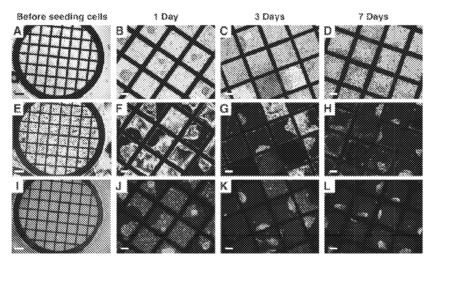 Liquid crystalline substrates for culturing cells