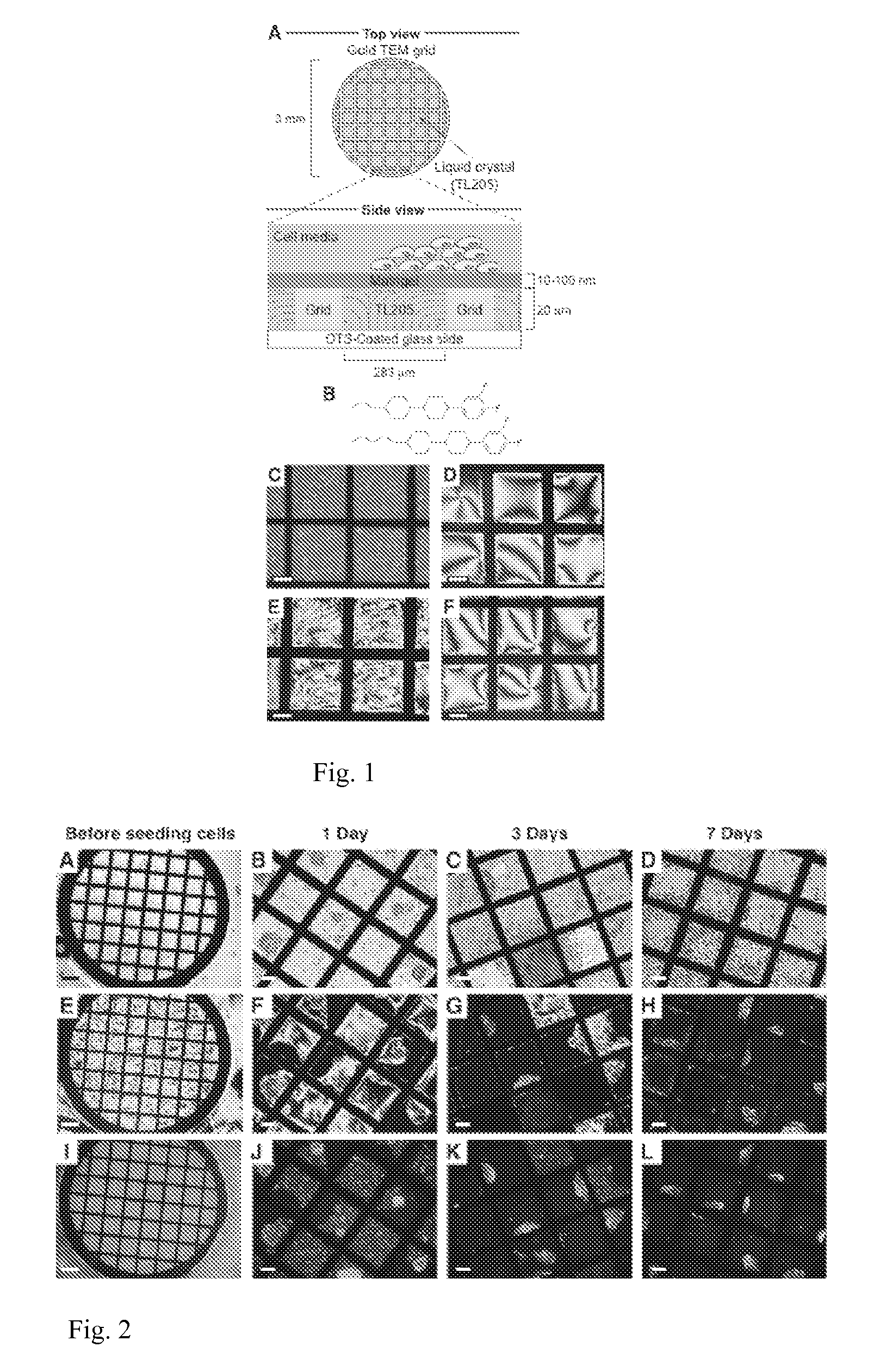 Liquid crystalline substrates for culturing cells
