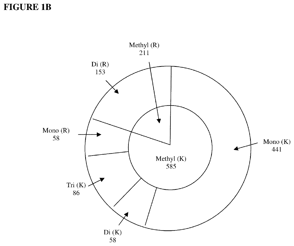 Method for profiling protein methylation