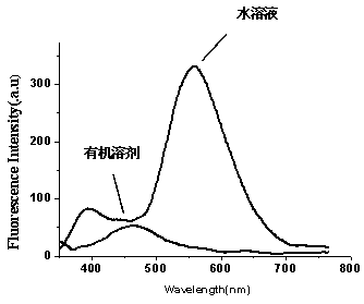 Fluorescent probe capable of identifying iodide ions as well as preparation method and identification method thereof