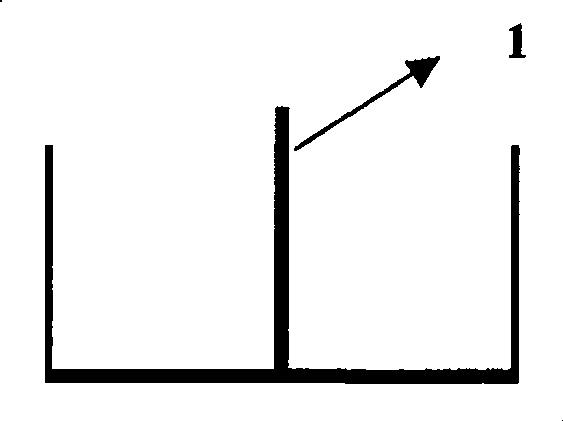 Vertical rod type bridge flexiblity monitor system