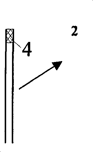 Vertical rod type bridge flexiblity monitor system