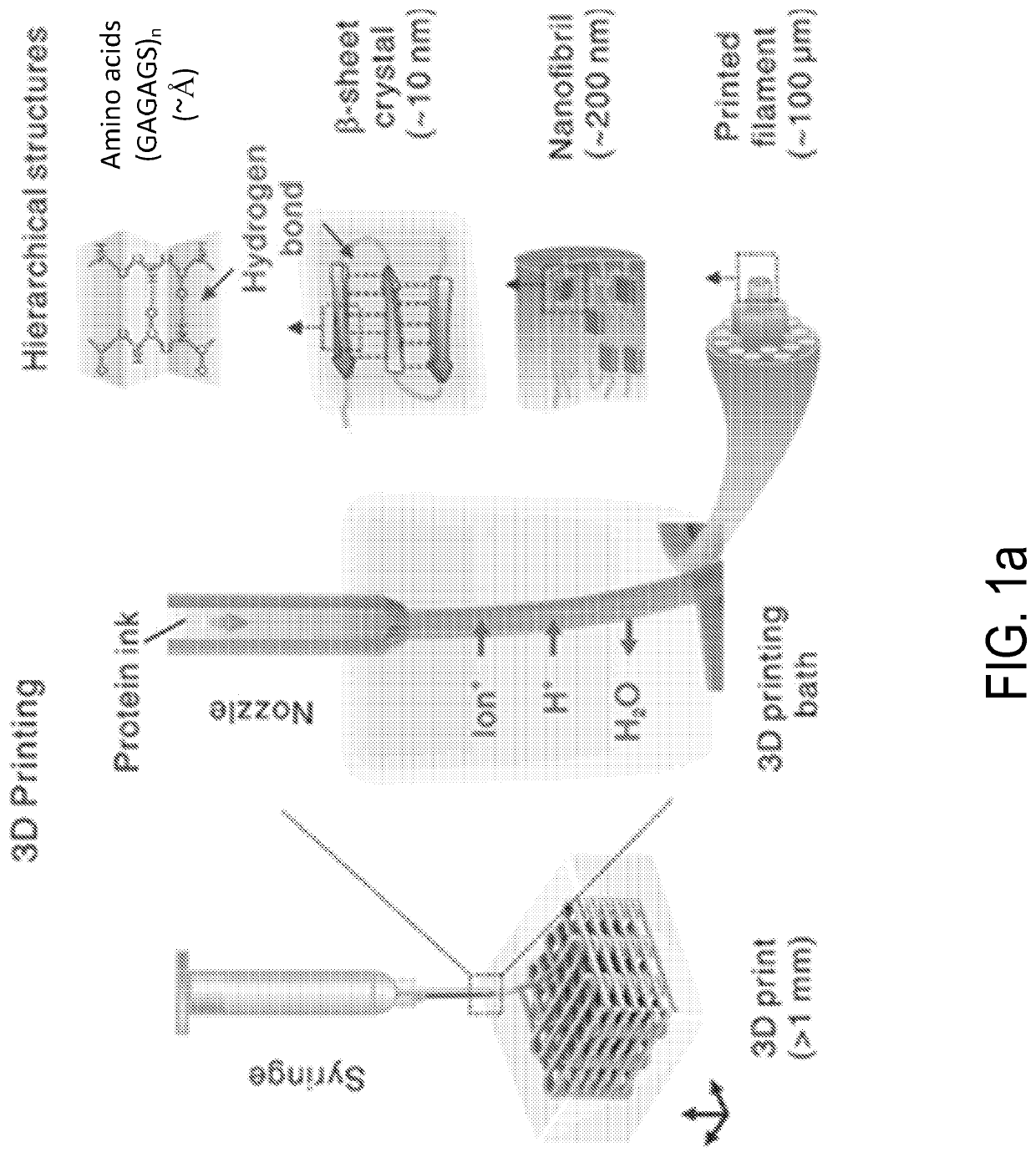 Systems and methods for 3D printing of proteins