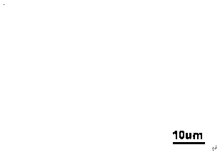 Preparing device for keratin original fibers with forked head ends and method