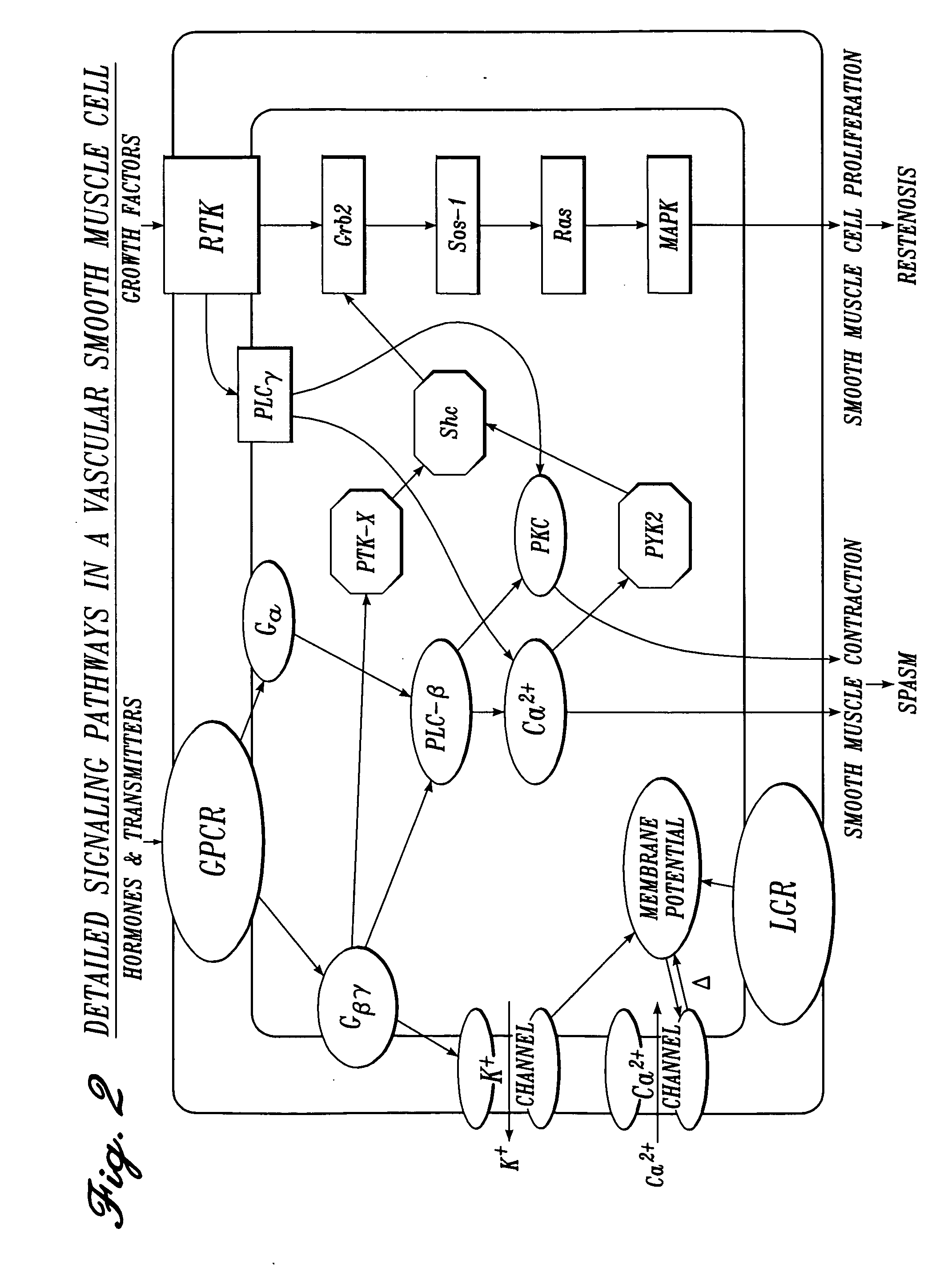 Irrigation solution and method for inhibition of pain and inflammation