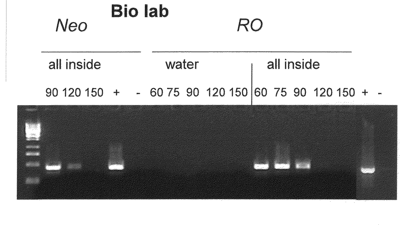 Cryoprotective Compositions and Methods of Using Same