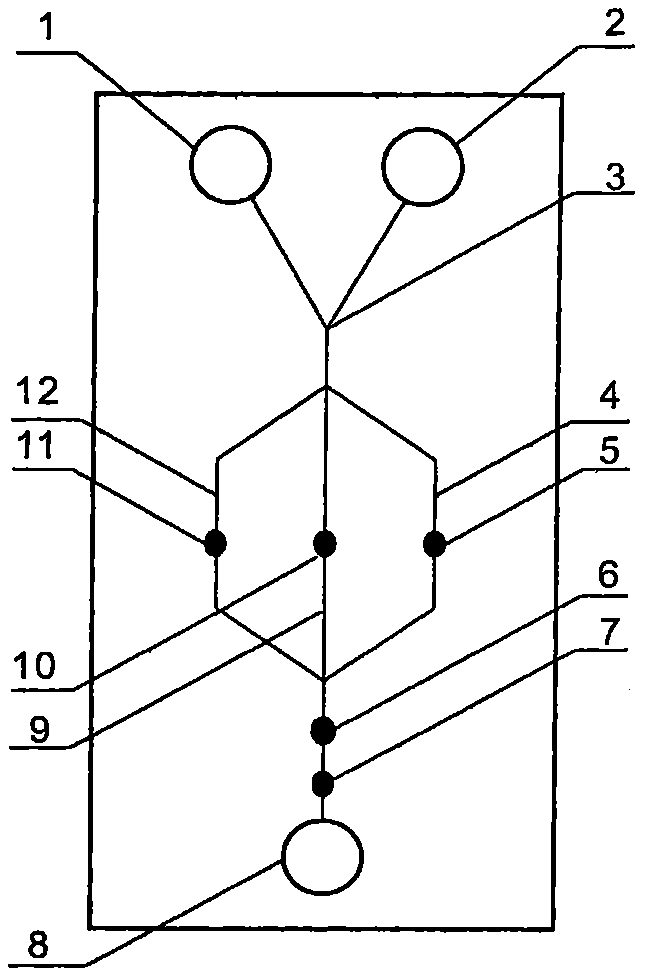 A subtype swine influenza detecting device capable of being easily disassembled and applying a cheap material