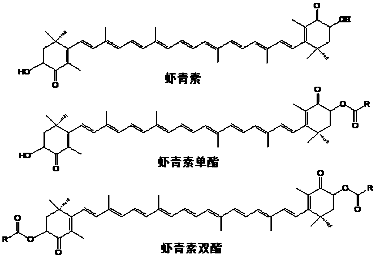 A kind of highly stable astaxanthin ester self-microemulsion and preparation method thereof