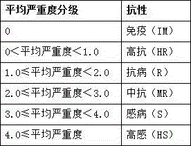 Method for identifying yellow dwarf resistance of triticale