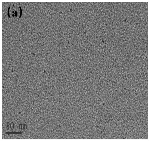 Fluorescent probe for detecting hypochlorite in water environment as well as preparation method and application thereof