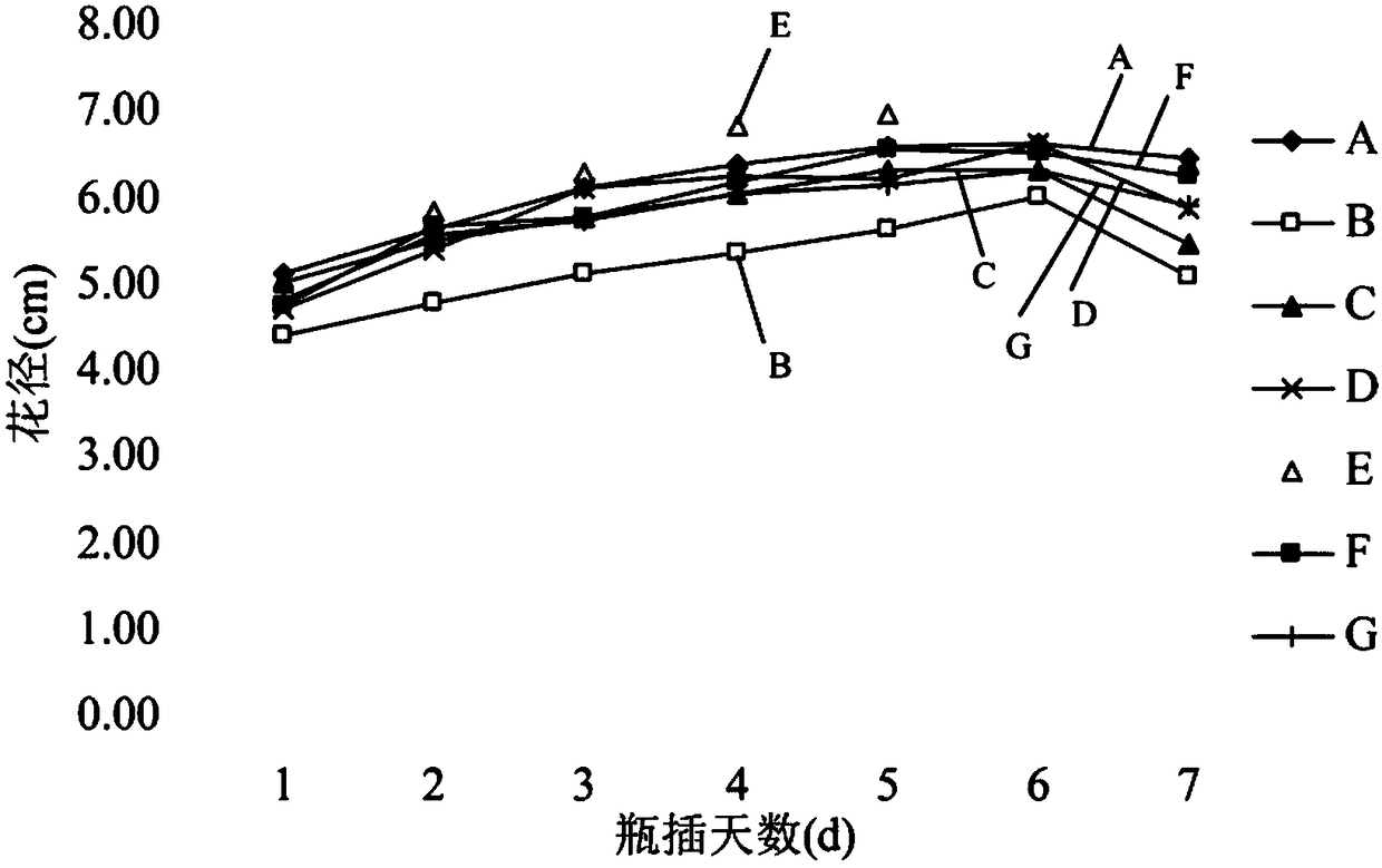 Method for prolonging vase life of Chinese rose flowers