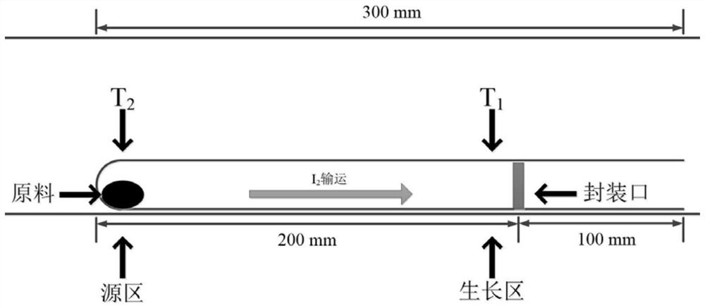 Preparation method of two-dimensional semiconductor material SnSe2 single crystal