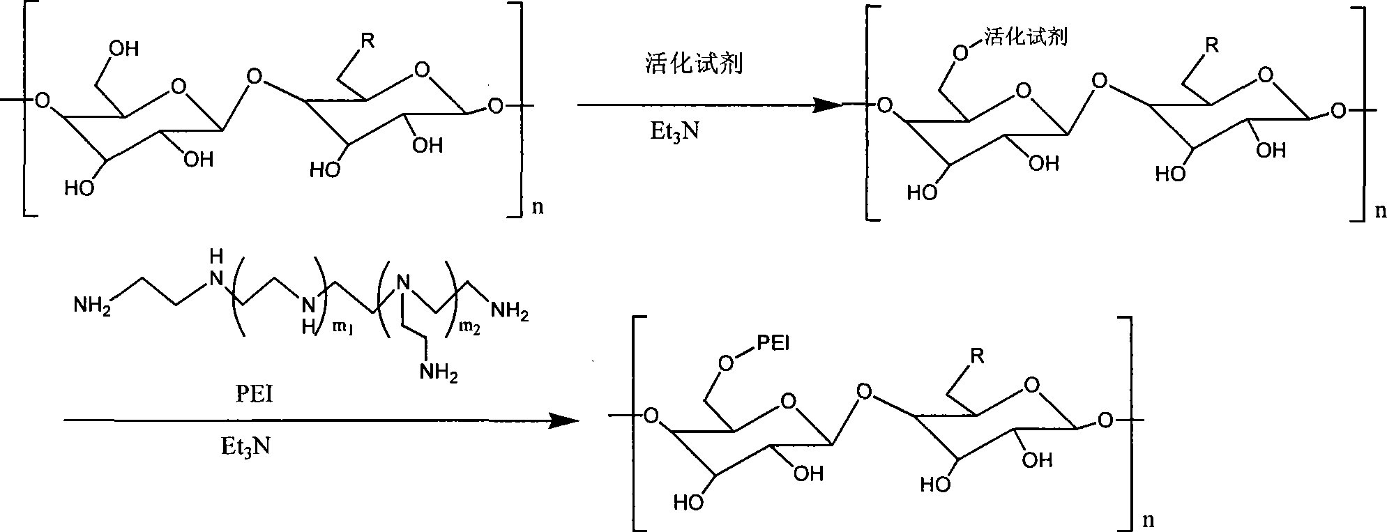 Method for modifying functional plants polysaccharide