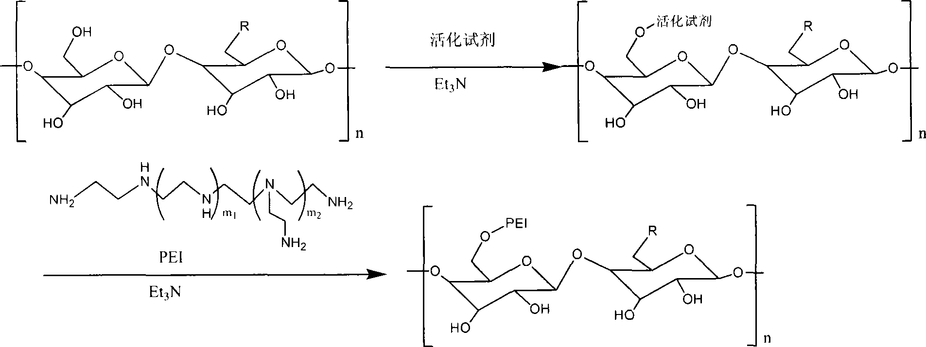 Method for modifying functional plants polysaccharide