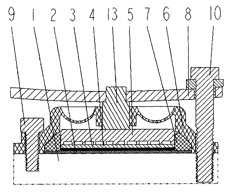 Membrane electrode electrolysis ozone generator