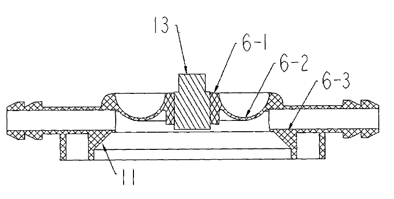 Membrane electrode electrolysis ozone generator