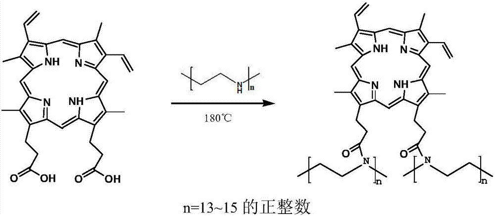 Protoporphyrin fluorescent carbon dot, and preparation method and application thereof