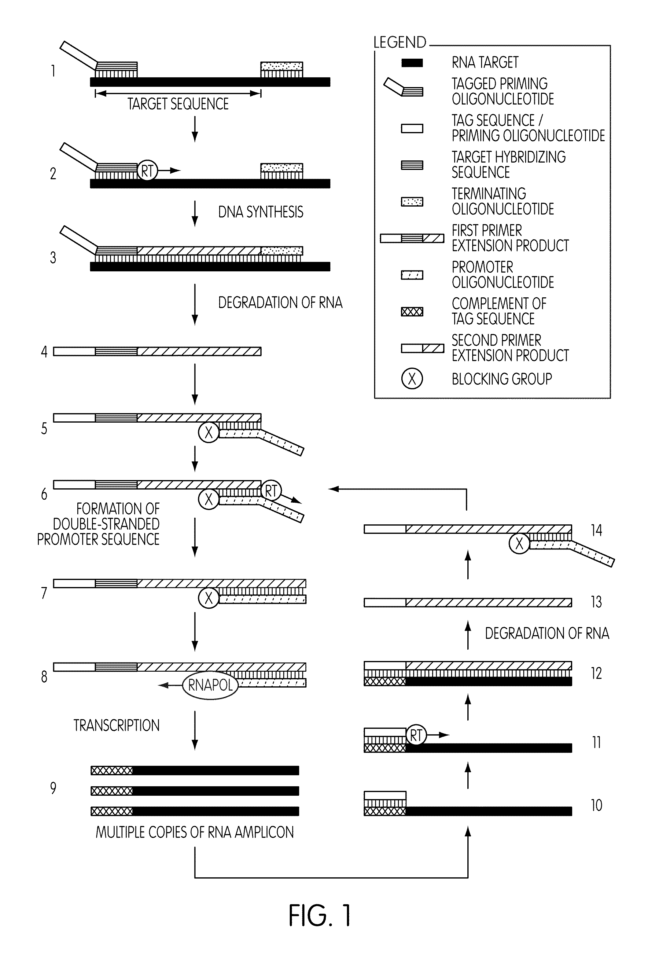 Use of blocker oligonucleotides in selective amplification of target sequences