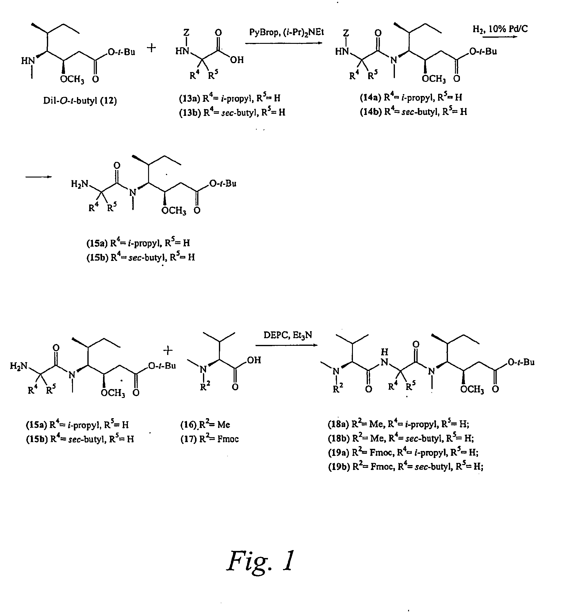 Pentapeptide compounds and uses related thereto